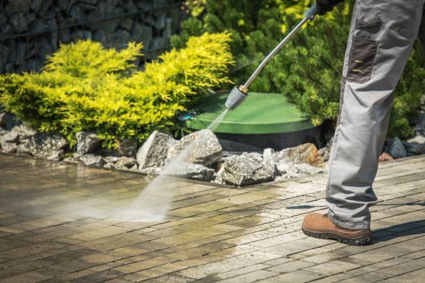 Best Spring Cleaning  in Dyersville, IA